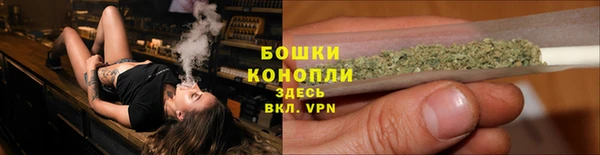 тгк Горнозаводск